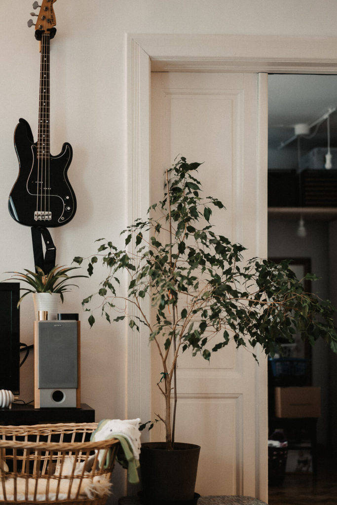 Newborn Shooting in Wiener Altbau Wohnung